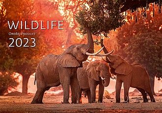 Wildlife 2023, nástěnný kalendář, prodloužená záda