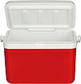Chladící box s izolační vrstvou 4 l, červená