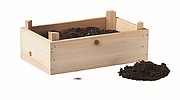Dřevěná bedýnka se semínky jahod