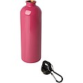 Jednostěnná láhev na vodu z nerezové oceli s karabinou 750ml, růžová