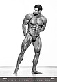 Men 2027, nástěnný kalendář, prodloužená záda