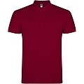 Pánská polokošile s krátkým rukávem, ROLY STAR, vínová, 2XL