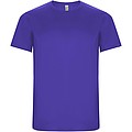 Pánské sportovní tričko s krátkým rukávem, ROLY IMOLA, fialová, vel. 2XL