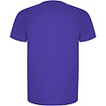 Pánské sportovní tričko s krátkým rukávem, ROLY IMOLA, fialová, vel. 2XL