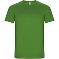 Pánské sportovní tričko s krátkým rukávem, ROLY IMOLA, zelená, vel. 3XL