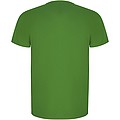 Pánské sportovní tričko s krátkým rukávem, ROLY IMOLA, zelená, vel. 3XL
