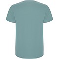 Pánské tričko s krátkým rukávem, ROLY STAFFORD, modrošedá, 2XL