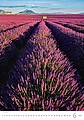 Provence 2027, nástěnný kalendář, prodloužená záda