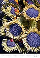 Provence 2027, nástěnný kalendář, prodloužená záda