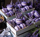 Provence 2027, nástěnný kalendář, prodloužená záda