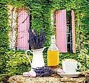Provence 2027, nástěnný kalendář, prodloužená záda