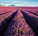 Provence 2027, nástěnný kalendář, prodloužená záda