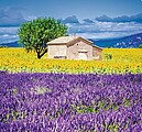 Provence 2027, nástěnný kalendář, prodloužená záda