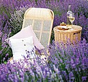 Provence 2027, nástěnný kalendář, prodloužená záda