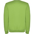 Unisex mikina s kulatým výstřihem, ROLY CLASICA, světle zelená, vel. XS