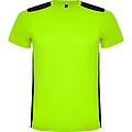 Unisex tričko Roly Detroit, světle zelená, velikost XL