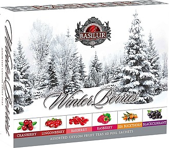 BASILUR- Winter Berries Assorted přebal 60 gastro sáčků