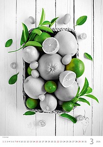 Colour Art 2027, nástěnný kalendář, prodloužená záda