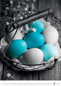 Colour Art 2027, nástěnný kalendář, prodloužená záda