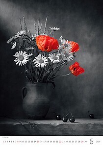 Colour Art 2027, nástěnný kalendář, prodloužená záda