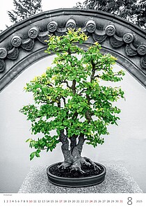 Colour Art 2027, nástěnný kalendář, prodloužená záda