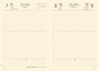 Flip 2027 diář denní A5, hnědo capuccinový