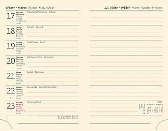 Flip 2027 diář kapesní, šedo šedý