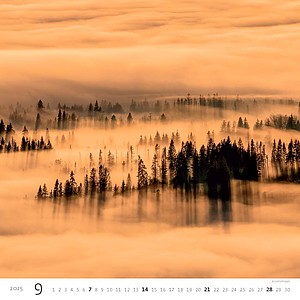 Forest 2025, nástěnný kalendář, prodloužená záda