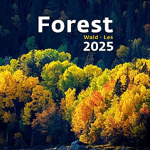 Forest 2025, nástěnný kalendář, prodloužená záda