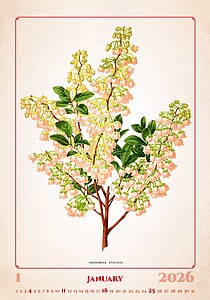 Herbarium 2026, nástěnný kalendář, prodloužená záda