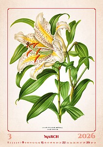 Herbarium 2026, nástěnný kalendář, prodloužená záda