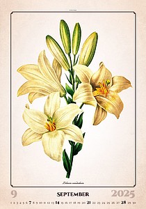 Herbarium 2026, nástěnný kalendář, prodloužená záda