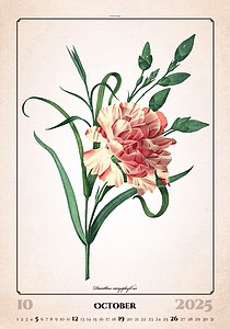 Herbarium 2026, nástěnný kalendář, prodloužená záda