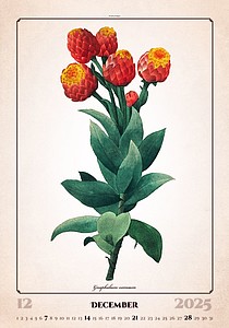 Herbarium 2026, nástěnný kalendář, prodloužená záda