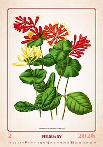 Herbarium 2027, nástěnný kalendář, prodloužená záda