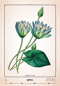 Herbarium 2027, nástěnný kalendář, prodloužená záda