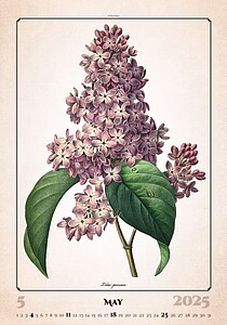 Herbarium 2027, nástěnný kalendář, prodloužená záda
