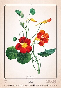 Herbarium 2027, nástěnný kalendář, prodloužená záda