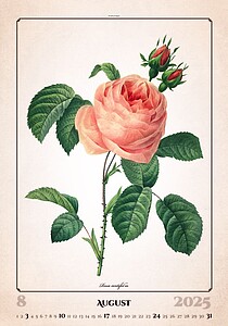 Herbarium 2027, nástěnný kalendář, prodloužená záda