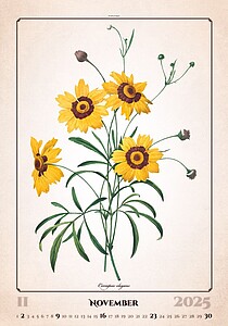 Herbarium 2027, nástěnný kalendář, prodloužená záda