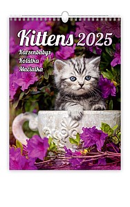 Kalendář Koťátka, 2025 - reklamní kalendáře