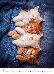 Kalendář Koťátka, 2027