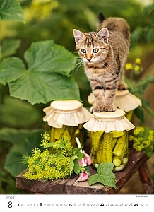 Kalendář Koťátka, 2027