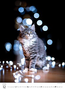 Kalendář Koťátka, 2027