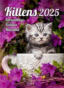 Kalendář Koťátka, 2027