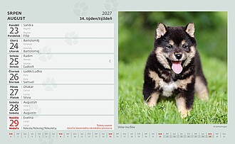 Kamarádi 2027, stolní kalendář