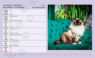 Kočky 2027, stolní kalendář