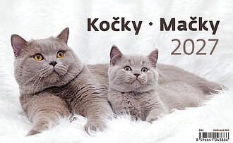 Kočky 2027, stolní kalendář