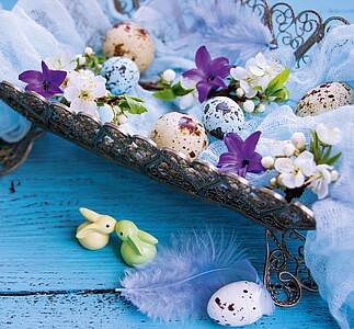 Kouzlo domova 2027, nástěnný kalendář, prodloužená záda