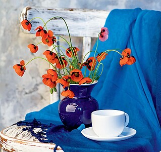 Kouzlo domova 2027, nástěnný kalendář, prodloužená záda